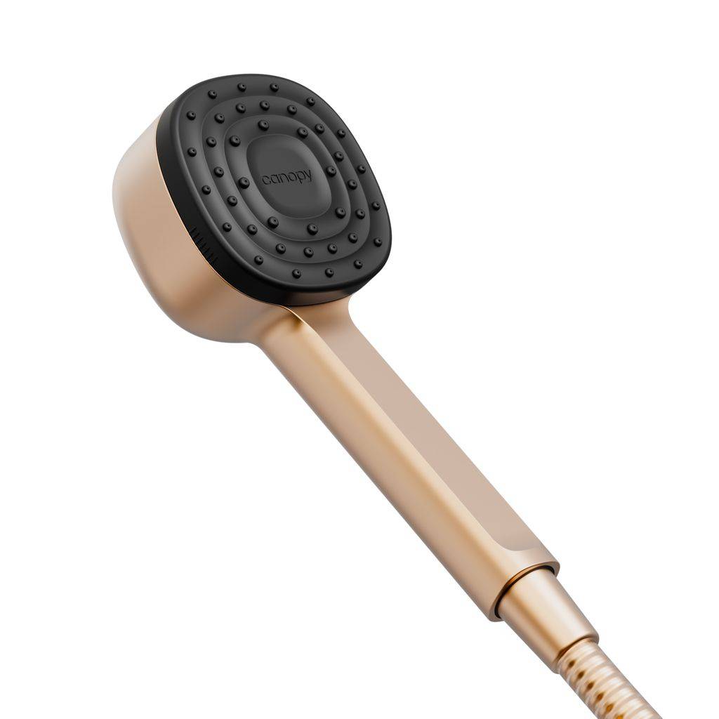 Handheld Filtered Showerhead