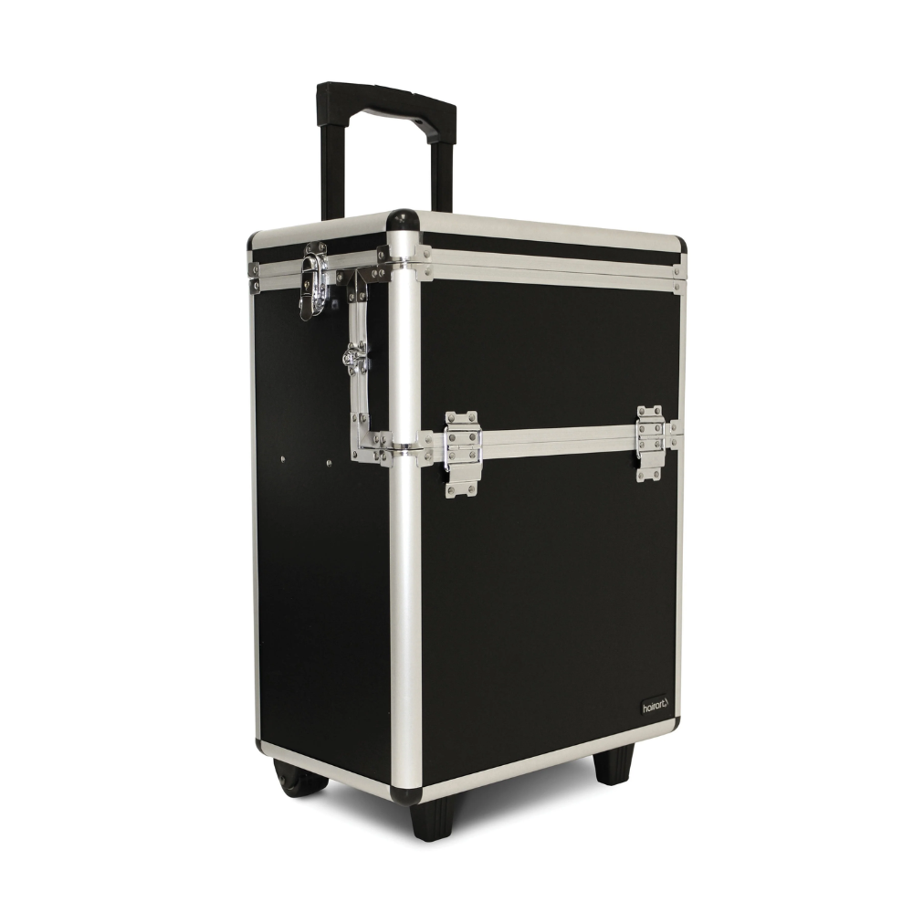 Professional Aluminum Beauty Case