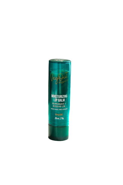 Moisturizing Lip Balm - 0.25 oz