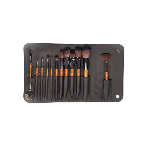 12 Piece Primary Brush Set With Pouch