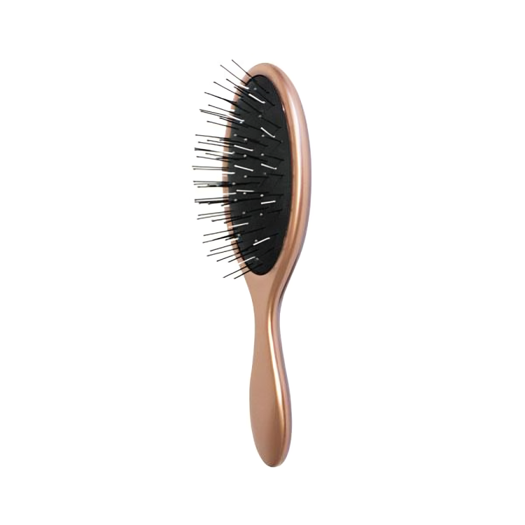 B20 Pro Brush