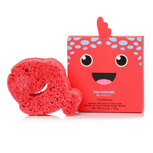 Sponge Sea Animals - Fiona Fish