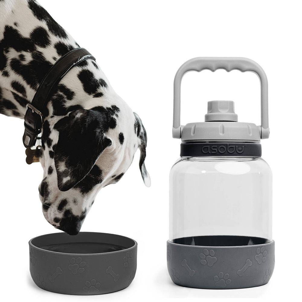 Barkley Bottle