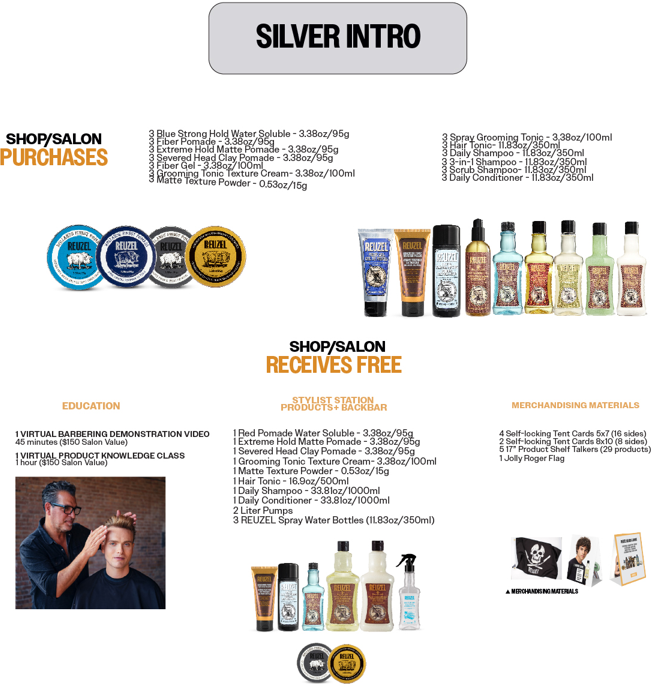 Silver Salon Intro Kit