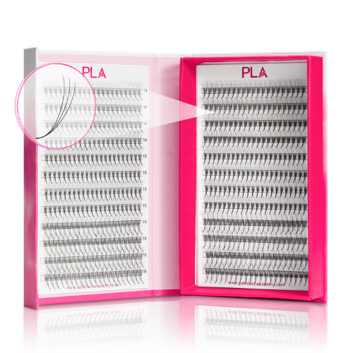 Bold ProMade Lash Extensions - 7D - CC
