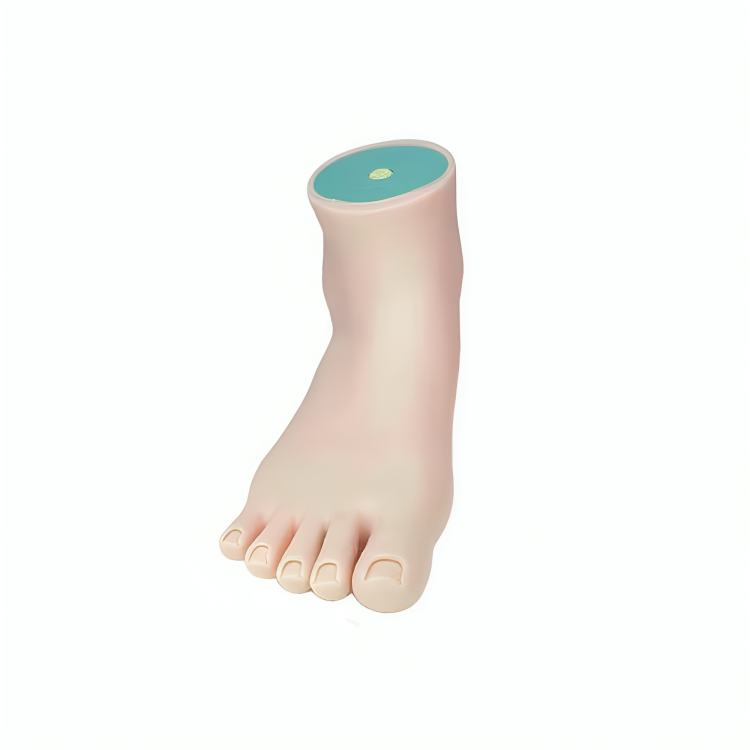 Rubber Foot (Right)- Practice Pedicures
