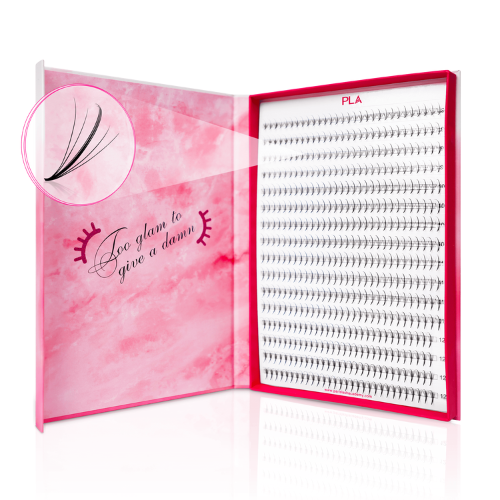 Wispy Lash Extensions - 5D - D