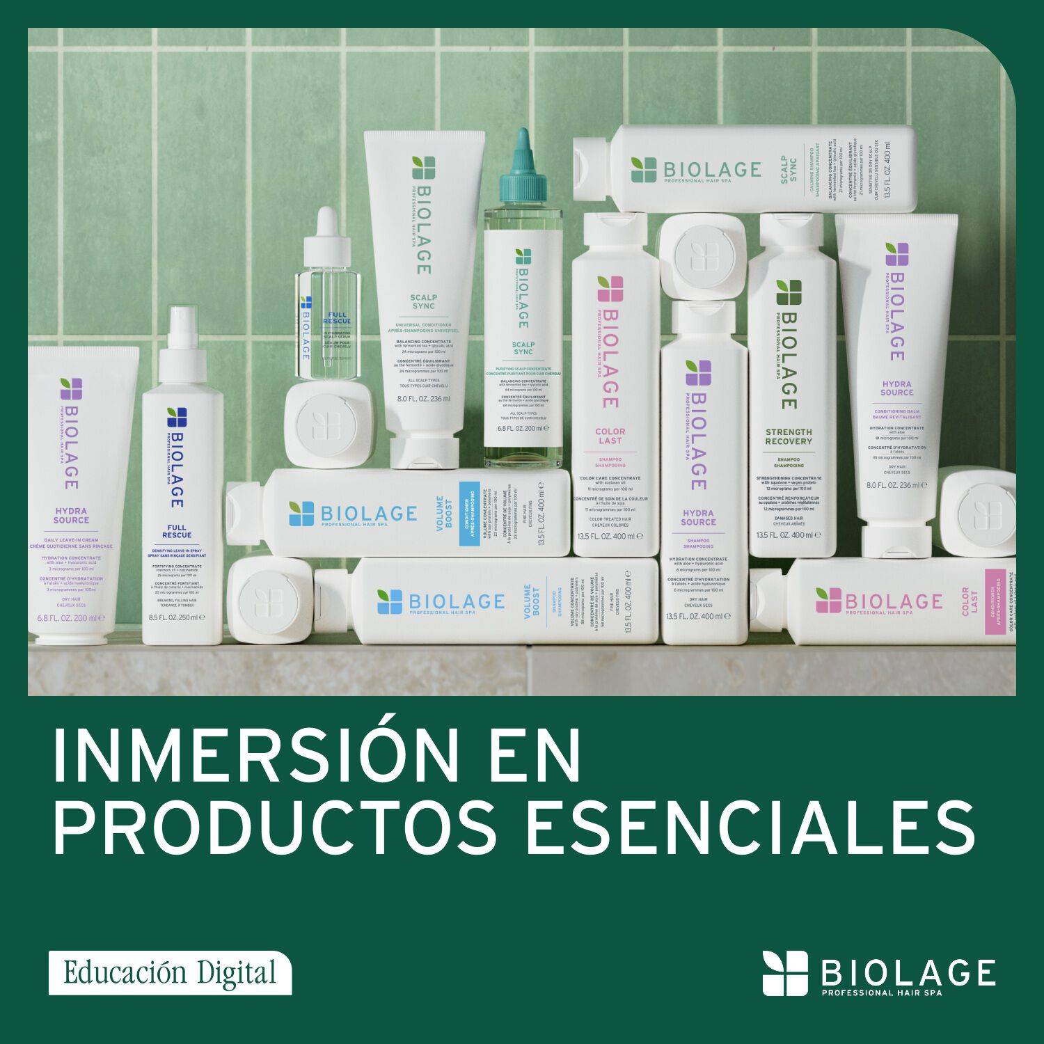 Inmersi&oacute;n en Productos Esenciales Biolage