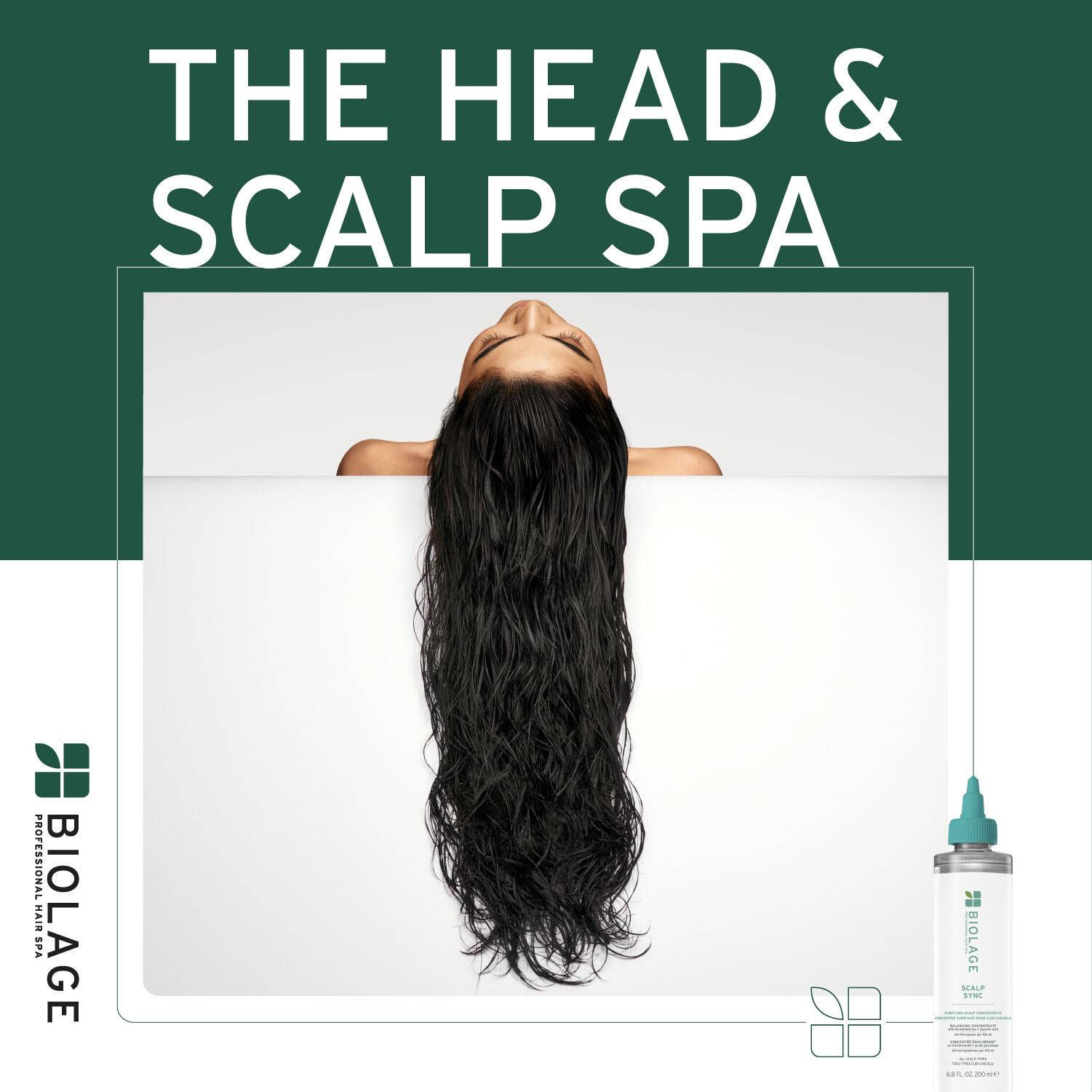 The Head & Scalp Spa