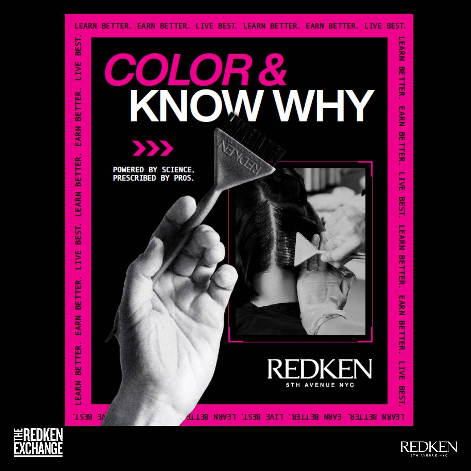 Color and Know Why