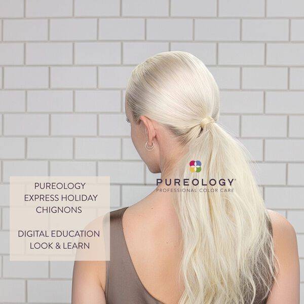 Hairstyling - Express Holiday Chignons