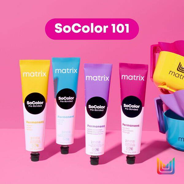 SoColor 101