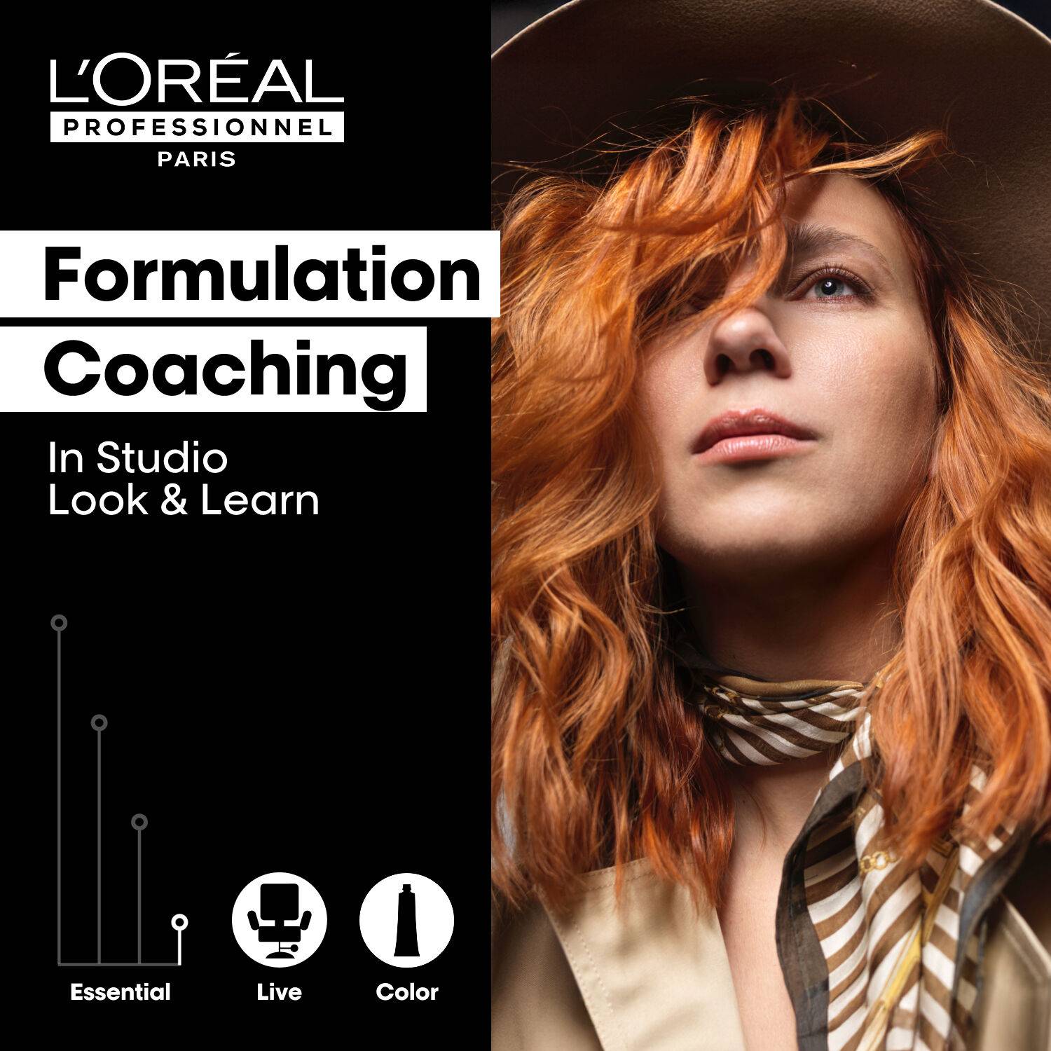 Formulation Coaching
