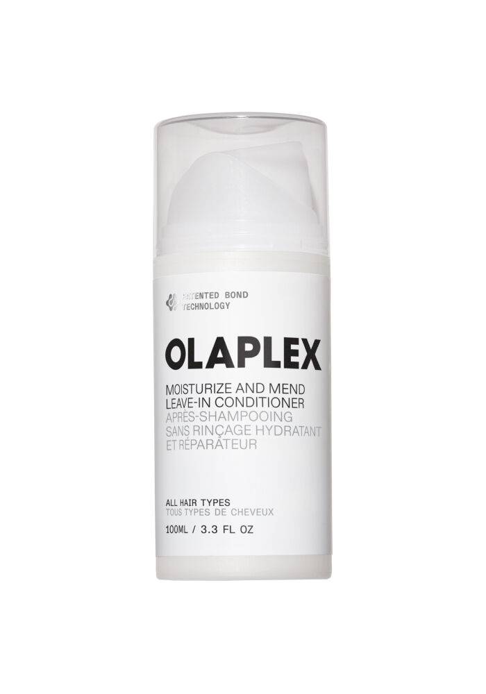 No.5 Leave-In Moisturize & Mend Leave-In Conditioner