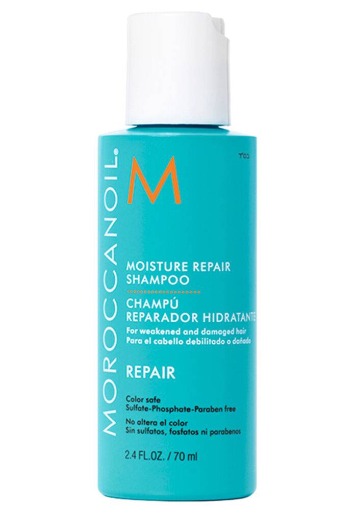 Mesmerizing Moroccan Oil Moisture Repair Shampoo Landscape Illustration